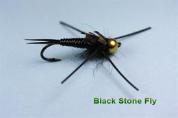Black Stone Fly